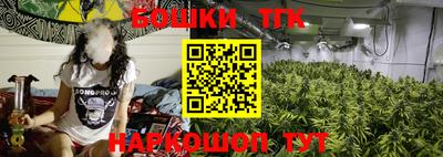 индика Кунгур