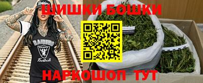 индика Кунгур